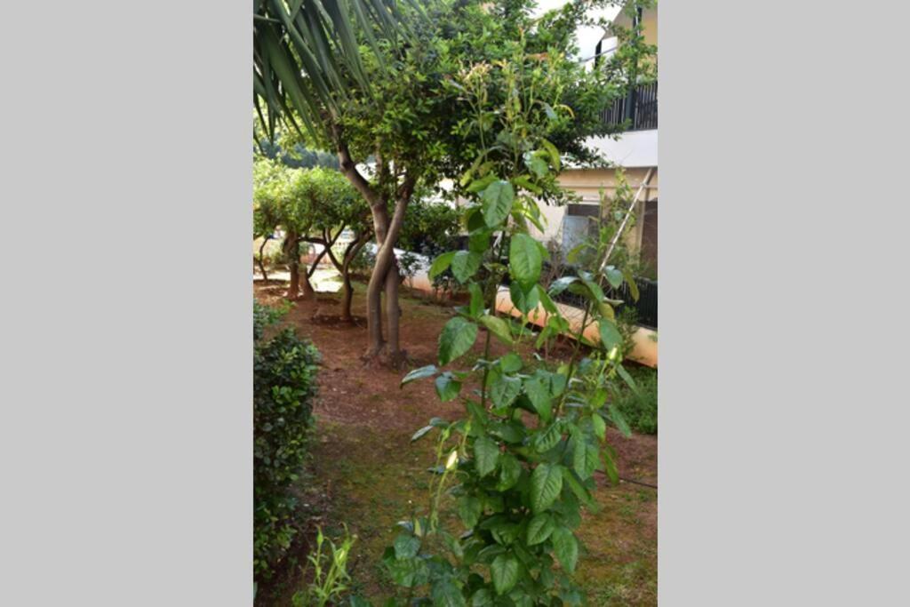 Tropicana Athena Bagian luar foto